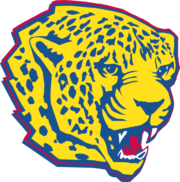 South Alabama Jaguars 1997-2007 Partial Logo DIY iron on transfer (heat transfer)
